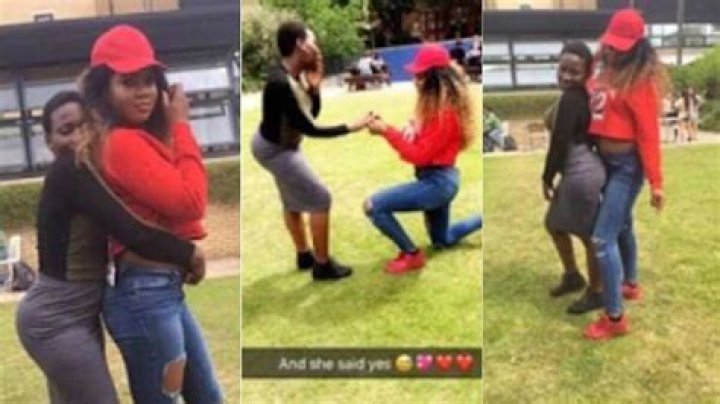 WAWU! Nigerian lady goes on her knees to propose to her girlfriend (photos)