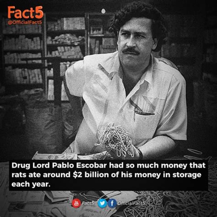 Pablo Escobar's net worth: what happened to his money after passing?