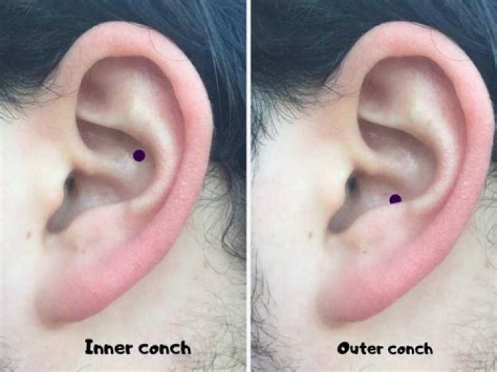 Conch Piercing: a guide to pain, healing, aftercare, inner vs outer piercing