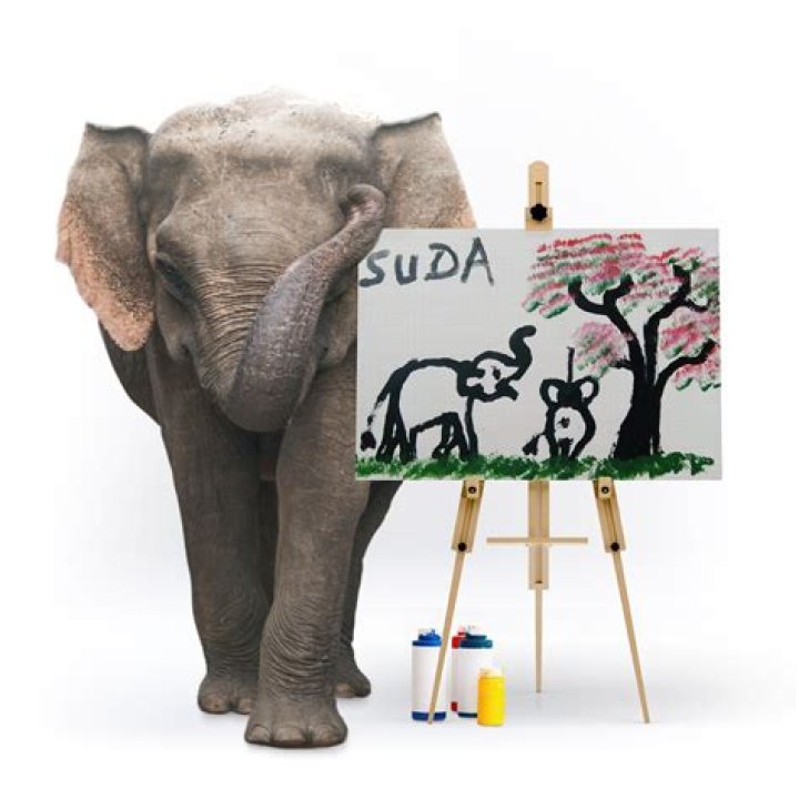 Incredible Video of Moment Elephant Made Beautiful Painting of Itself Stuns the Internet