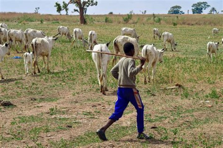 Farmers vs Herders: Abdusalami’s Treaty With West African Neighbours Behind Crisis, Audu Ogbeh Alleges