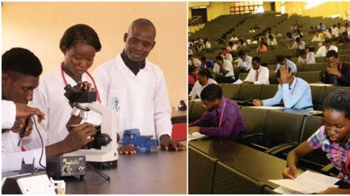 List of Top 10 Best Polytechnics in Nigeria in 2023 Emerges
