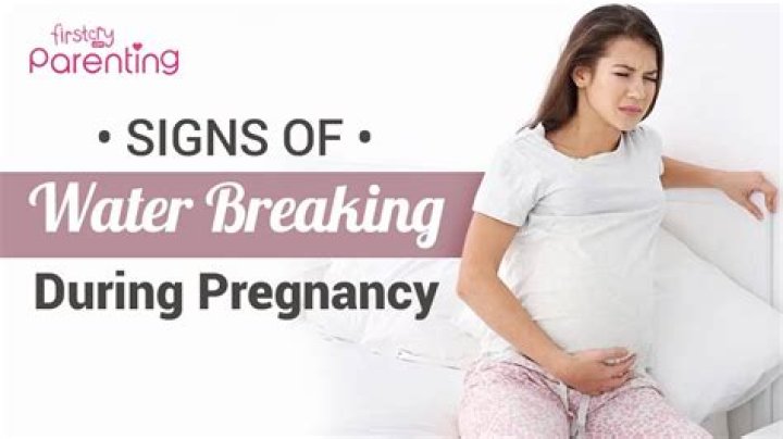 "I Would Be Screaming": Video Shows Pregnant Woman Struggling as Her Water Breaks on Aeroplane