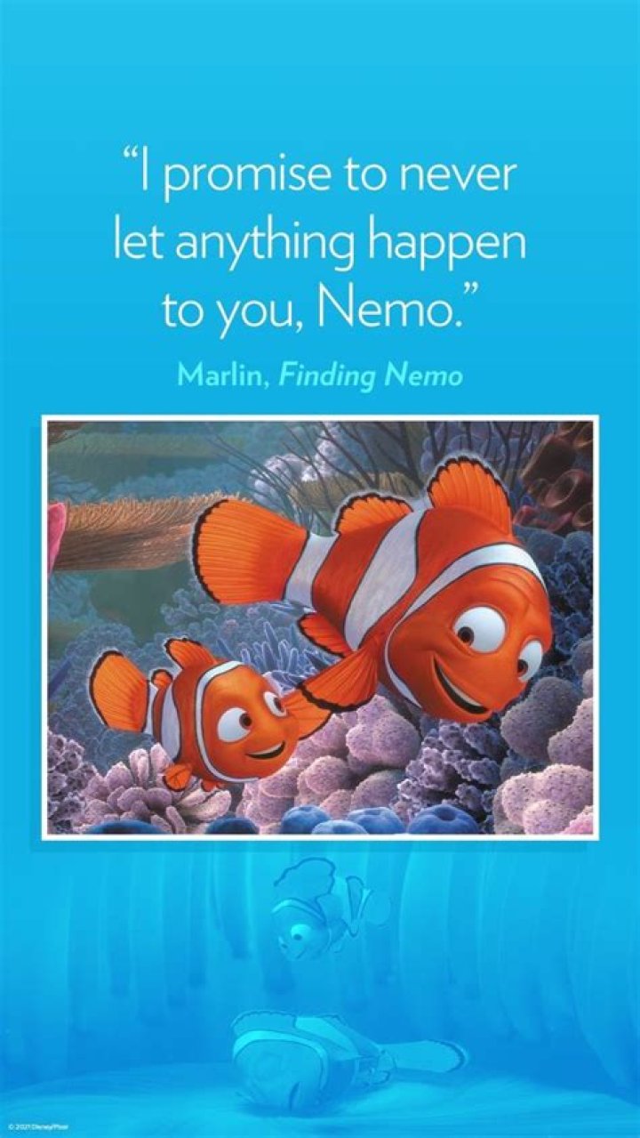 50+ Finding Dory and Finding Nemo quotes about family and friendship