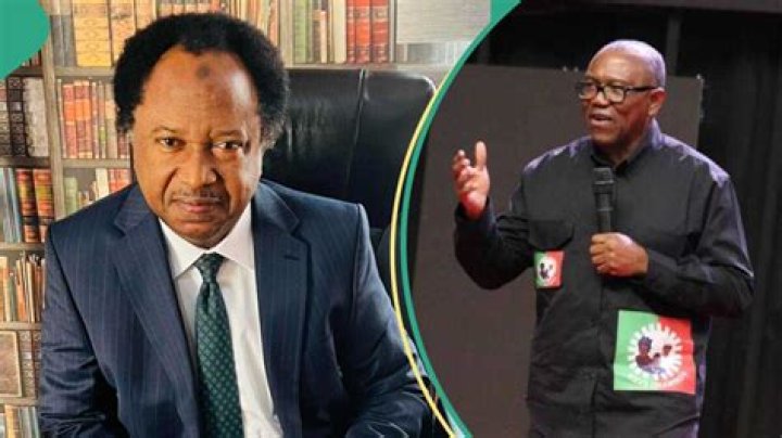 “Solve the Probability”: Shehu Sani Analyses Peter Obi’s Chances of Clinching PDP Ticket in 2027