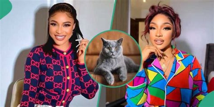 Tonto Dikeh Complains About Her White Friend After They Invited Her to Zoom Burial for Their Cat