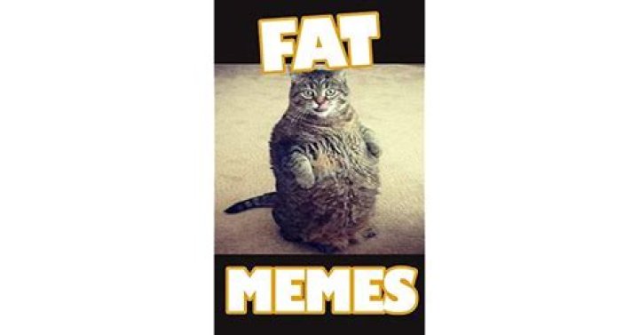 40+ Greatest Fat memes for your entertainment