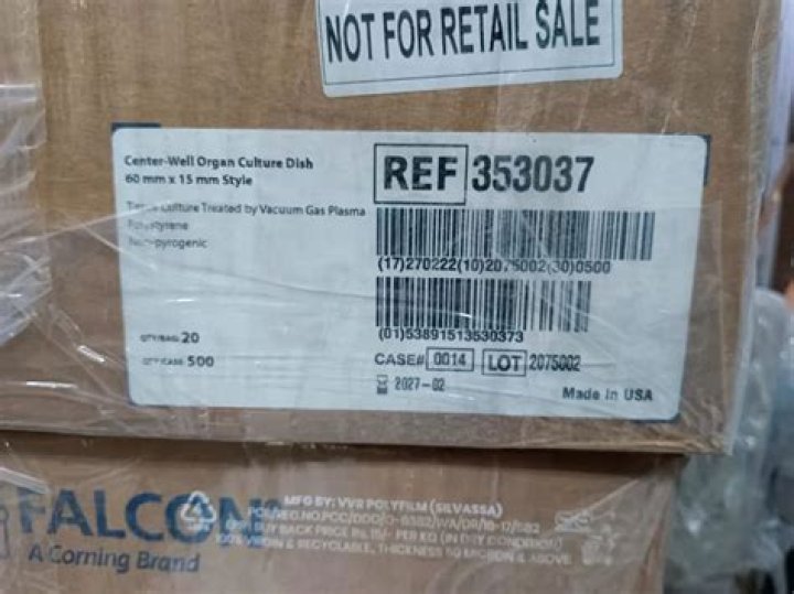 Watch Me by Jaden from USA