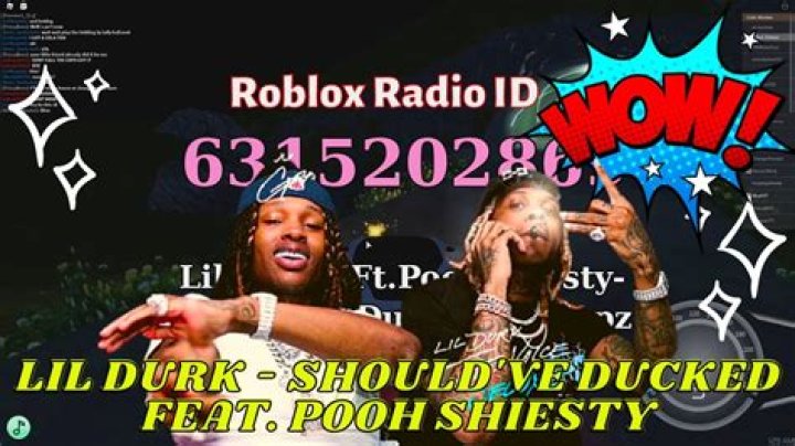 Should've Ducked by Lil Durk & Pooh Shiesty from USA