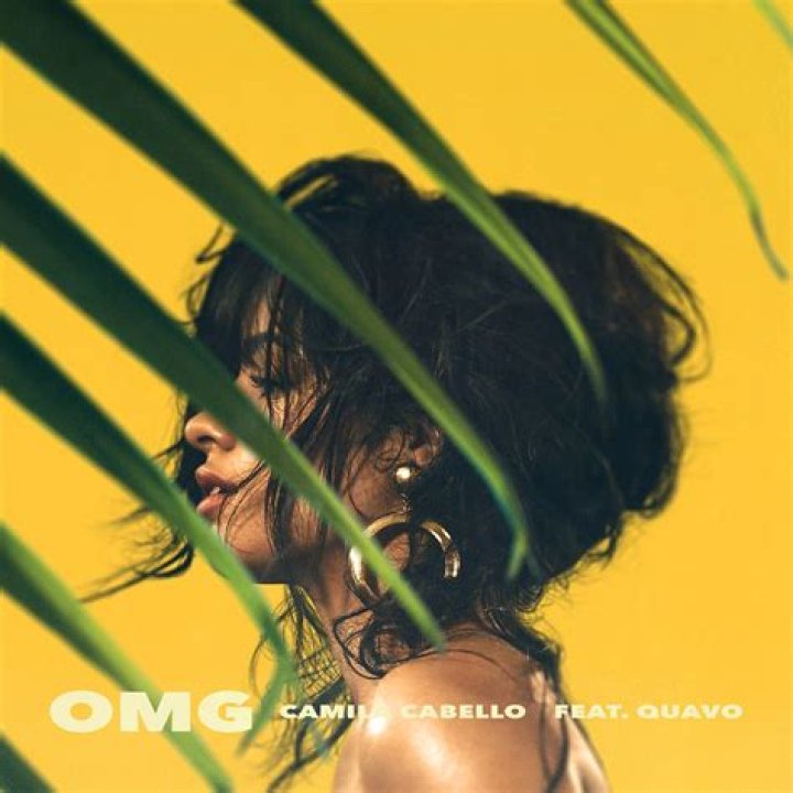 Omg by Camila Cabello & Quavo from USA