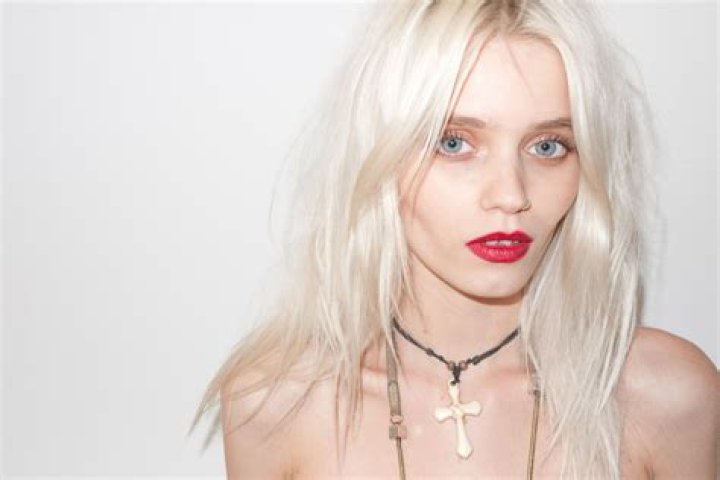 Abbey Lee Kershaw – Biography, Facts & Life Story
