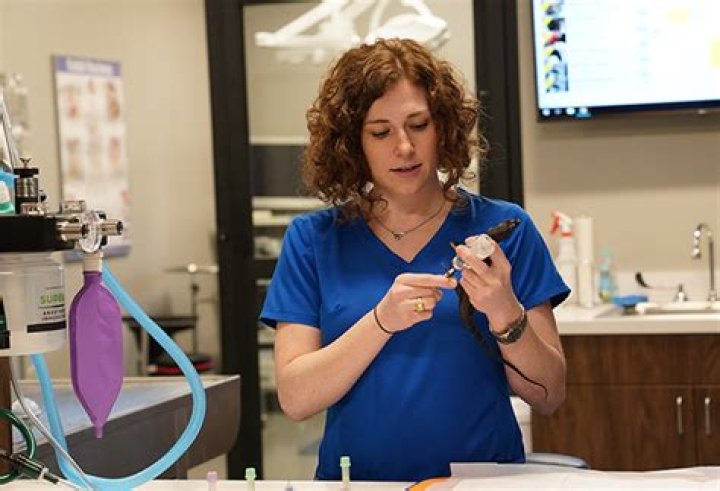 Dr Lauren Thielen Veterinarian, Bio, Wiki, Age, Height, Fiance, and Net Worth