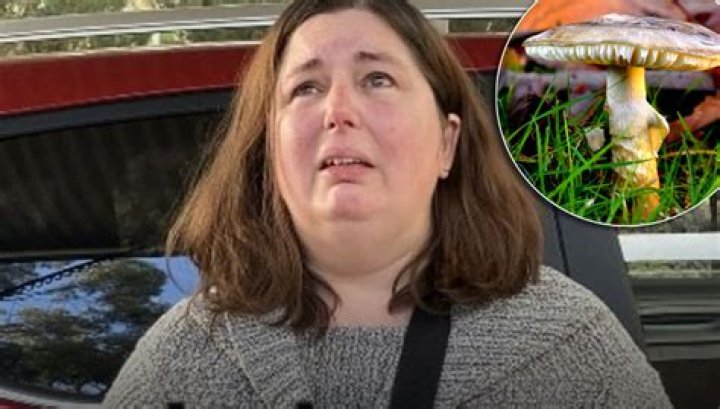 Erin Patterson Missing News Gone Viral: Mushroom Lady Arrest