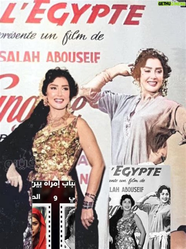 Ghada Abdel Razek Wiki, Biographie, Age, Taille, Mariage, Contact & Informations