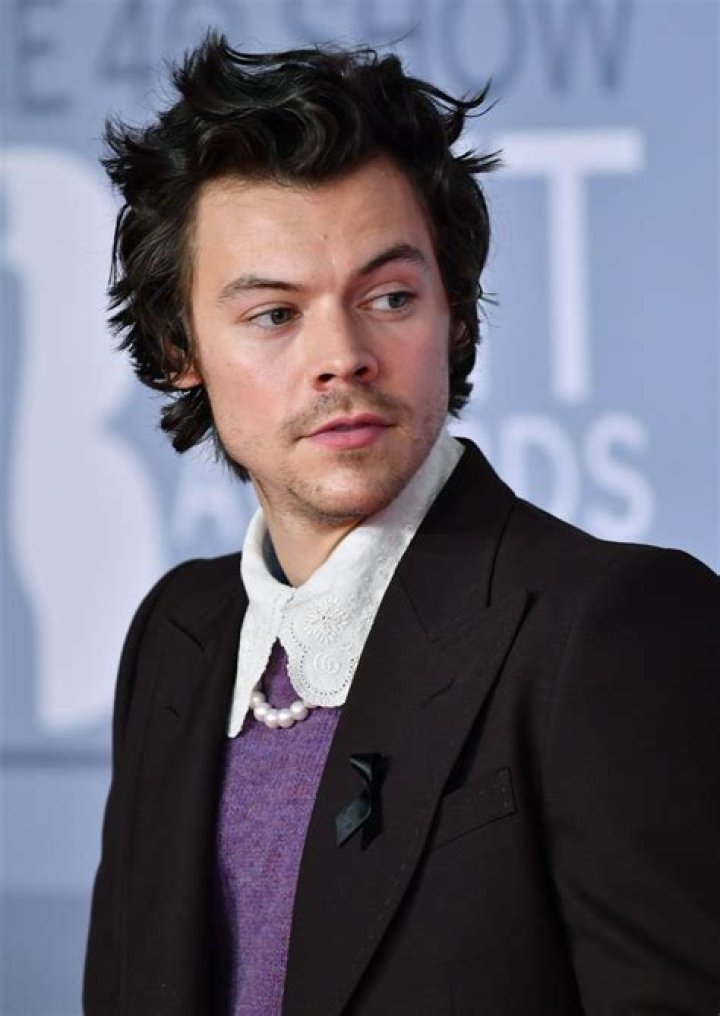 Harry Styles – Biography, Facts & Life Story