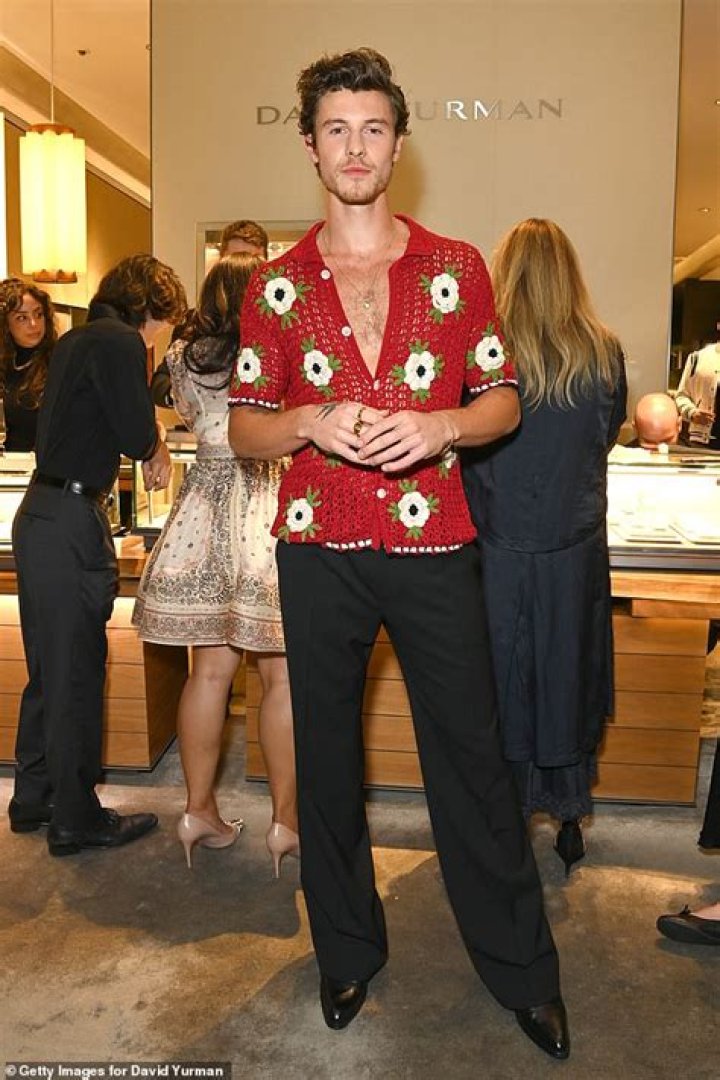 Is Shawn Mendes Gay Or Does He Have A Girlfriend?