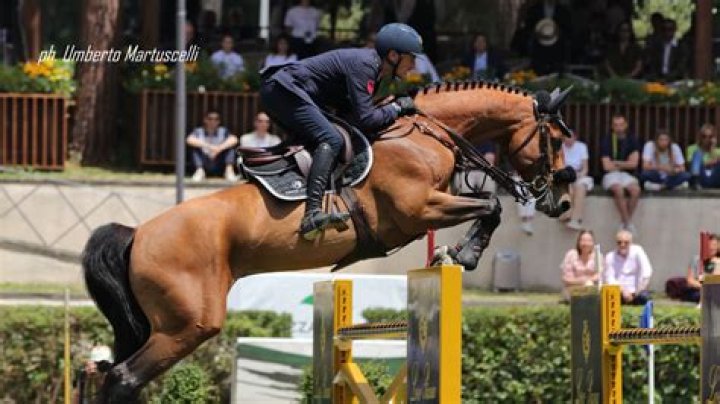 
Are Jessica Springsteen And Lorenzo de Luca Still Dating Or Broken Up?
