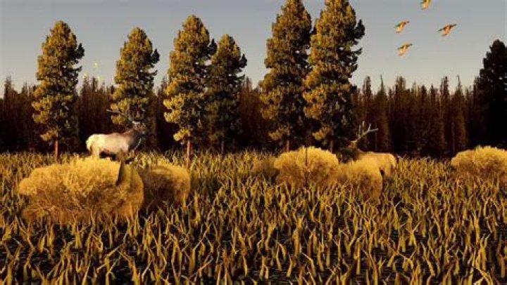 Mark Heyka ABC, Bio, Wiki, Age, Height, Partner, Salary, and Net Worth