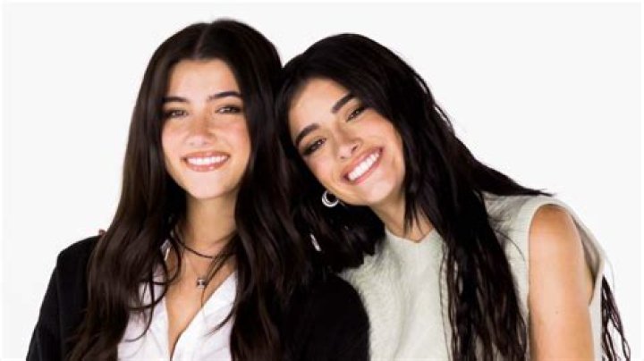 Nessa Barrett Sent Charli D’Amelio a Gift: Are They Friends?