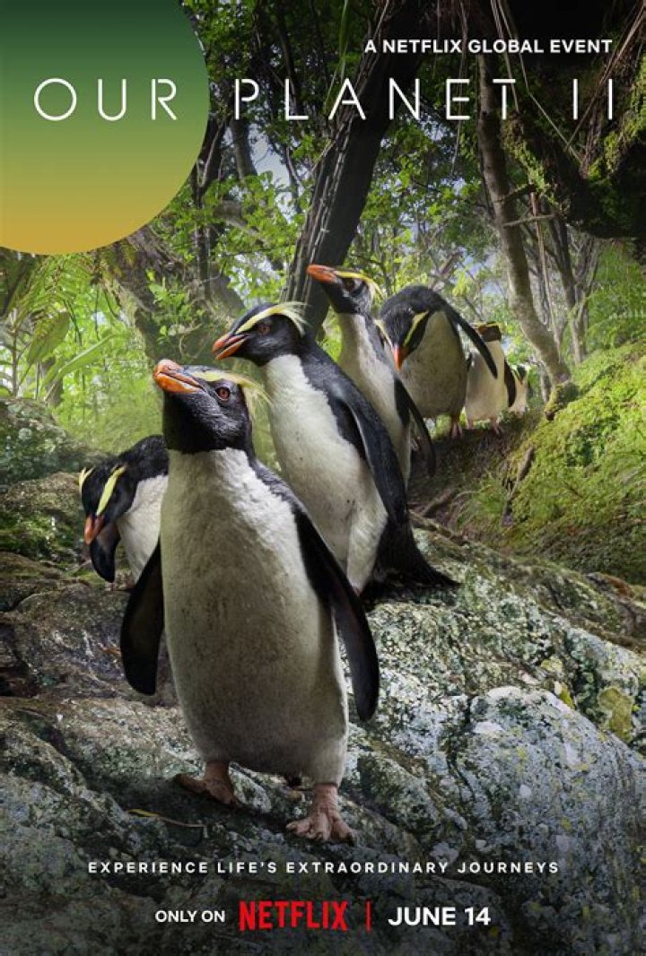 Our Planet Cast, Actors, Producer, Director, Roles, Salary