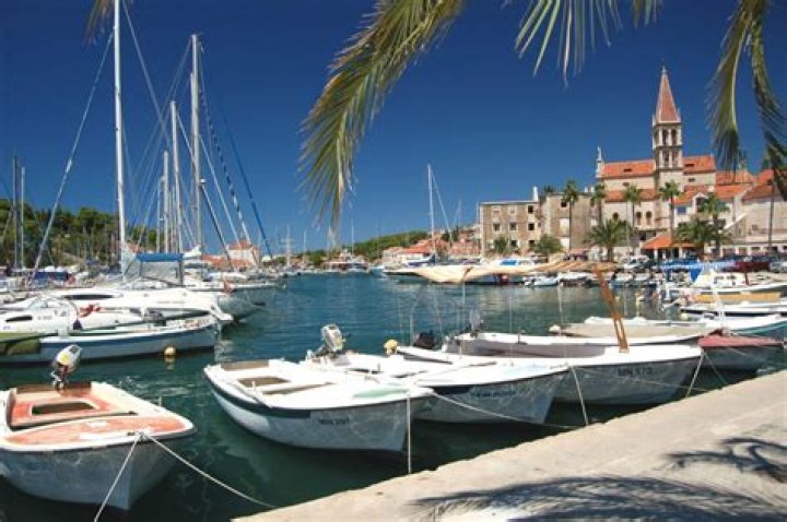 Peter Voogd Net Worth – How Much is Peter Voogd Worth?