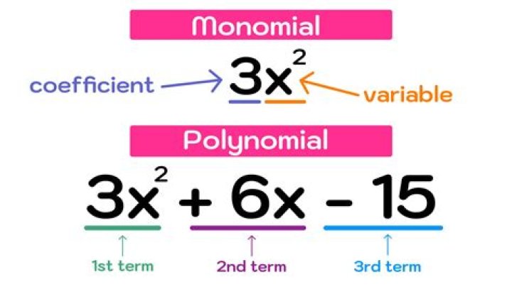 Polynomial Calculator Video