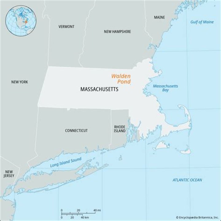 Where Is Lowell Melser Going After Leaving WBAL? Is He Fired?