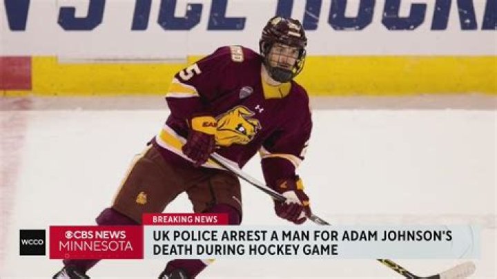 Who Hit Adam Johnson Minneapolis? Matt Petgrave Arrest