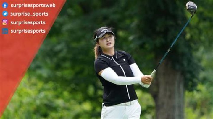 Yan Liu Net Worth – How Much is Liu Worth?